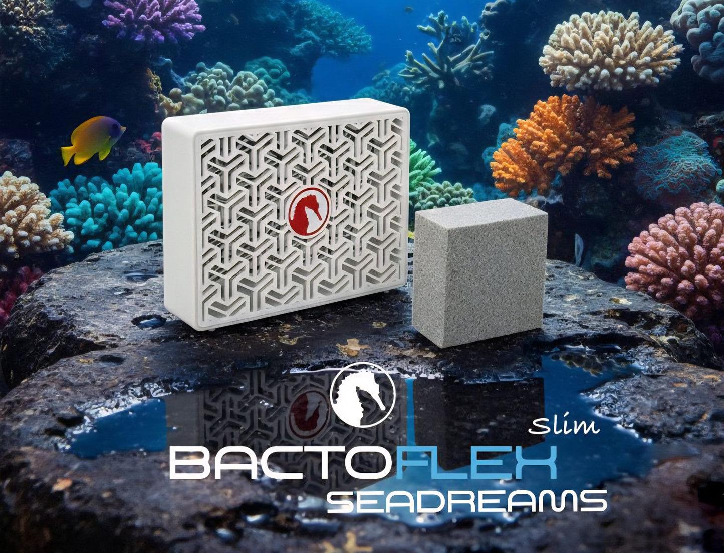 BactoFLEX + BactoBOX - SEADREAMS | FILTRACIÓN
