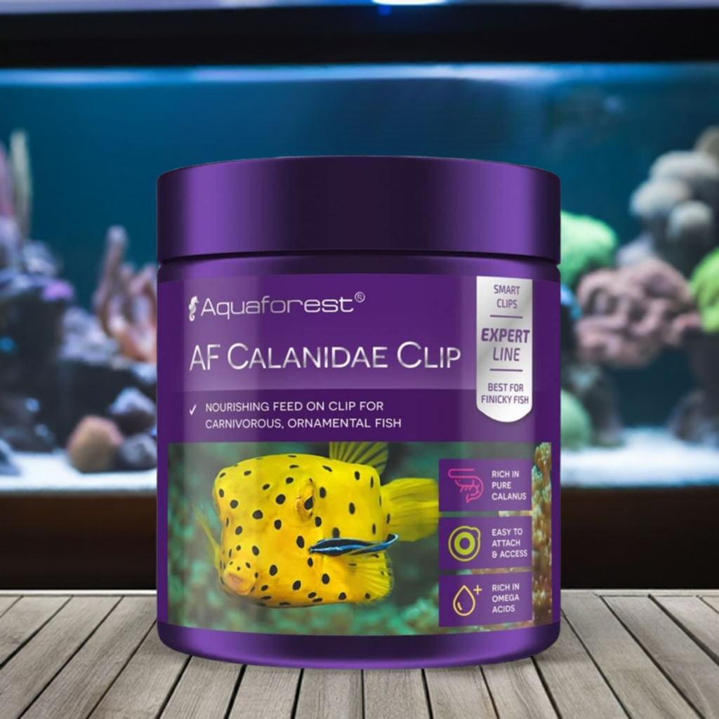 AQUAFOREST CALANIDAE CLIP