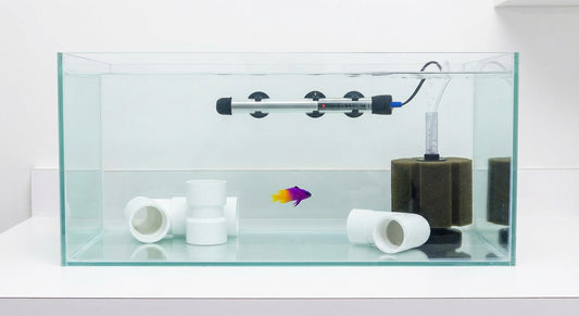 Acuario hospital de cuarentena para peces marinos con fondo desnudo, calentador, filtro de esponja y tubos PVC