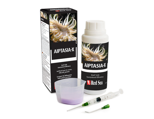 RED SEA AIPTASIA X 60mL