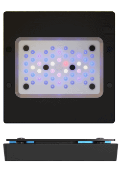 ECOTECH RADION XR15G6 BLUE