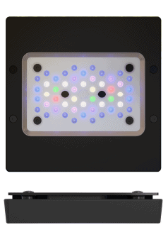ECOTECH RADION XR15G6 PRO