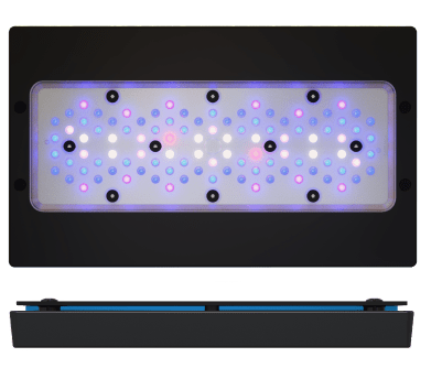 ECOTECH RADION XR30G6 BLUE