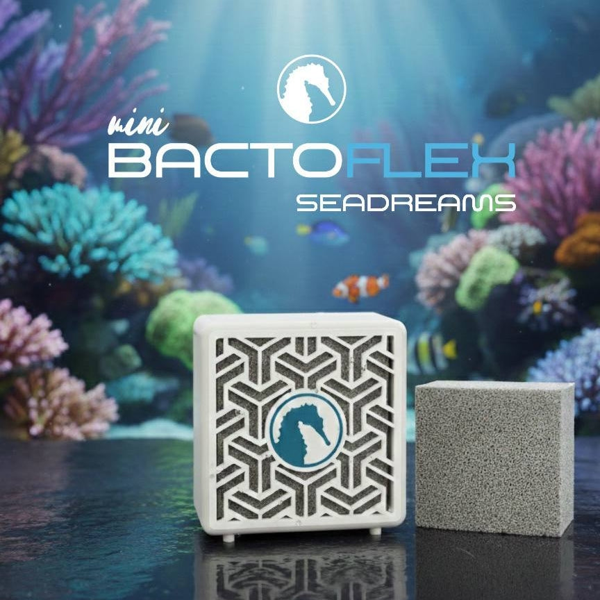 BactoFLEX + BactoBOX - SEADREAMS | FILTRACIÓN