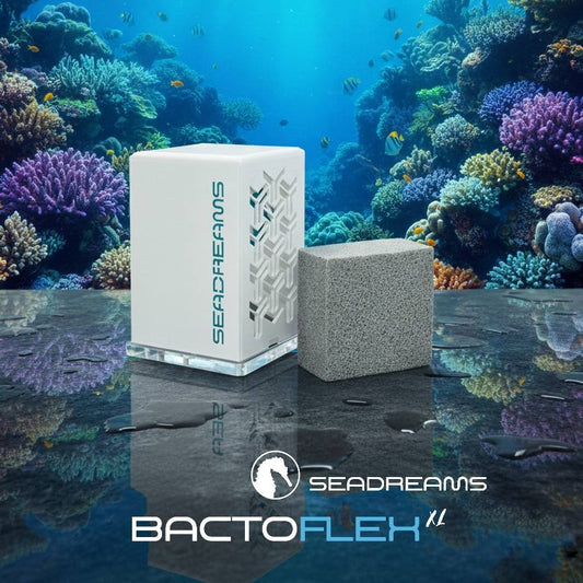 BactoFLEX + BactoBOX - SEADREAMS | FILTRACIÓN