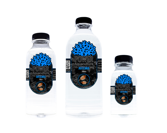 POWER AQUACULTURE - Artemia Nauplio
