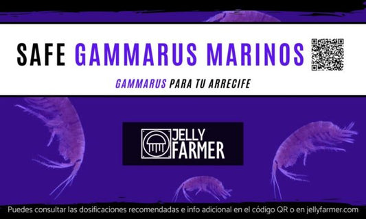JELLY FARMER - Safe gammarus marinos